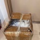 (주)바로퀵물류 이미지