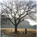 미륵사지관광지 이미지