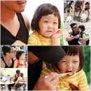 문완식목장 스타뉴스