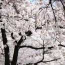 갈산의원 이미지