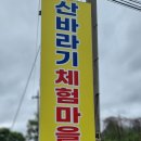 산바라기마을