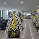 조치과의원 이미지