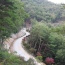 꼬부랑길 이미지