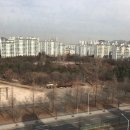 양지마을 보행자도로 이미지