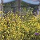 세동2통경로당 이미지