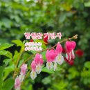 기림사 - 918 | 경주 포항 수국 명소 함월산 기림사