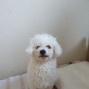 좋은인연펜션 이미지