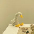 구스커피 이미지