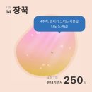 미국에서 임신 기록: 초진, 12주차, first screening, NIPT, 젠더리빌