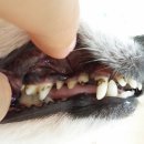 메디웍스 이미지