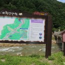 효석문학100리길 제3구간 이미지