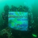 스쿠바캠프 이미지