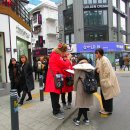 홍대예술의거리 이미지