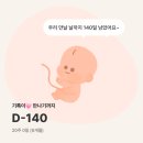 빅코인 전자정밀 | [20주~21주] 10월 24일 ~ 11월 6일, 체중 증가 &amp; 정밀 초음파