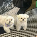 홍제탑정형외과의원 이미지