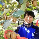 봉현농장 이미지