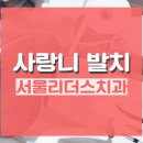 리더스서울치과의원 이미지