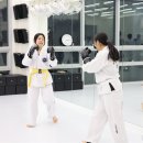 인천 연수도장 ITF 태권도 이미지