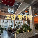 [고양 카페] 빵다방 대형 베이커리 카페 내돈내산 후기