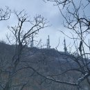 용문산 정상 이미지