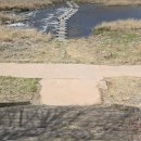 [7편] 2025년4월15일 화요일 DMZ평화의길 14코스를 다녀와서! 이미지