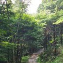 치유의숲 화장실 이미지