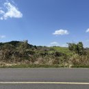 송당송당 이미지