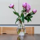 아롱다롱플라워 | 전국 생화(生花) 어버이날 스승의날 꽃주문 꼬핌 꽃시장가격으로