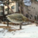 신이화약국 이미지