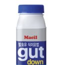 구트(gut)