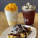 요거프레소대전 이미지