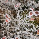 서귀중앙골프연습장 이미지