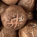 박준호농장 이미지