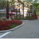 덕의초등학교 이미지