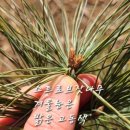 보배어린이공원 이미지