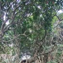 서퍼호스텔 이미지