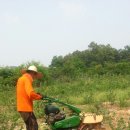 정빈농장 이미지