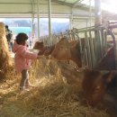 여물소농장 이미지