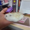 운동공방 이미지