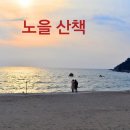 바다노을 이미지