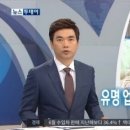 송학 이미지