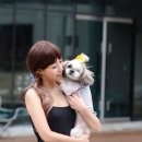 도그앤미 이미지