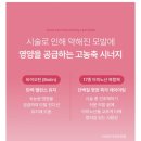 라움제이