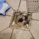 희노래연습장 이미지