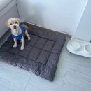 사계에반하다 1 이미지