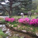 주주산방