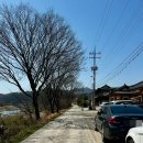 [화순 여행] 광주 근교 화순 대형카페 미네랄하우스