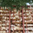 이현우농장 이미지