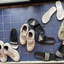 제주도조용한게스트하우스산방산 | 나홀로 여행자들을 위한 숙소 추천｜제주도 조용한 게스트하우스 산방산점