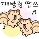 노마드리움